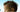 The Power of Photoshop&rsquo;s Refine Edge Tool