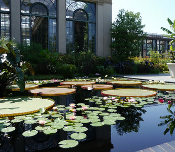 The Gardens of Philadelphia