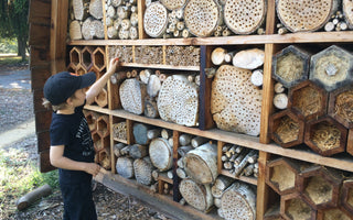 Build a Bee Hotel