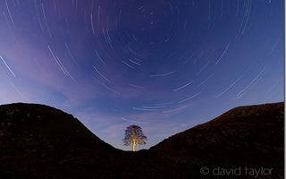 Weekend Assignment: Painting with Light