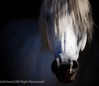 Depth of Field Explained