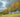 Plants for windbreaks