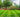 Lawn Care: Spring & Summer