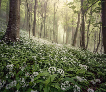 Best landscape images revealed