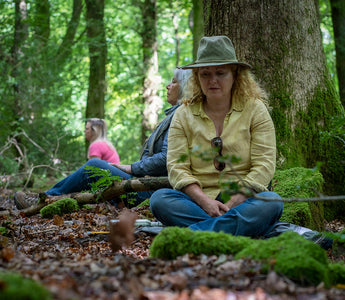 Discover the benefits of forest bathing