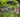 The Healthy Cities Garden Chelsea Flower Show 2015