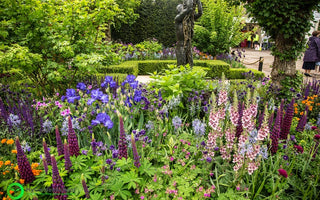 The Healthy Cities Garden Chelsea Flower Show 2015