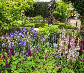 The Healthy Cities Garden Chelsea Flower Show 2015
