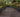 Paving the way at RHS Chelsea Flower Show
