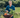 River Cottage first online accredited cookery course