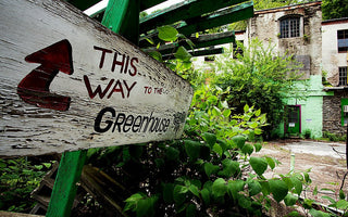 A Compendium of Abandoned Greenhouses