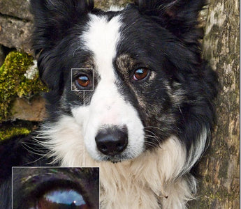 Image Noise: Why It Occurs And How to Avoid It