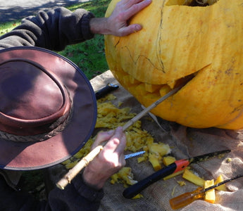 Growing Pumpkins and Pumpkin Carving