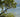 The Botanical Gardens Of The Brisago Islands