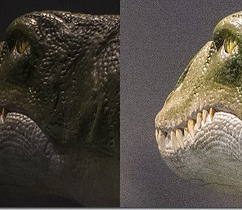 Exposing to the Right: How to Maximise Image Quality