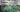 Plant Selection: Learning from Nature Volume 1