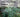 Plant Selection: Learning from Nature Volume 1