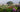 Book Review: Claire Austin's Book of Perennials