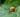 Organic Slug & Snail Control