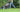 Market Analysis:  US Lawns and Garden Consumables Market Still on a Growth Path to 2016