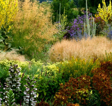 On the Dry Side: dealing with sunny, dry situations