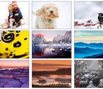 8 Photographic Assignments for Winter