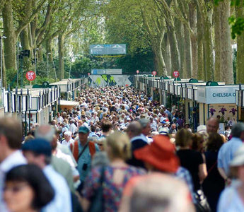 Chelsea Flower Show 2015: A Review