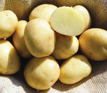 How to Grow Potatoes in Small Spaces