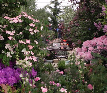Enjoy Chelsea Flower Show: really make a day of it!