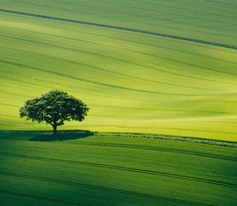 How To Win A Photography Competition