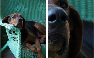 ISO Settings: The biggest advance in Digital Photography