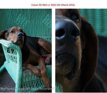 ISO Settings: The biggest advance in Digital Photography