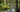 Healing Gardens; man and the power of plants