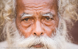 Creative Photography: Shallow Depth of Field