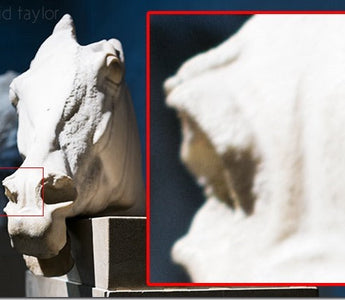 Image sharpness: The Factors That Affect It