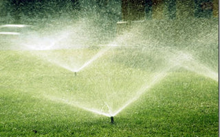 100 ways to conserve water for gardeners
