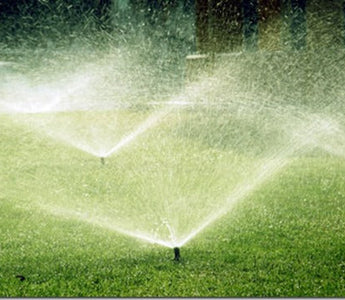 100 ways to conserve water for gardeners