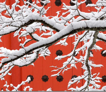 Art Wolfe on Finding your Subject