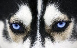 8 Tips To Be A Tasteful Photography