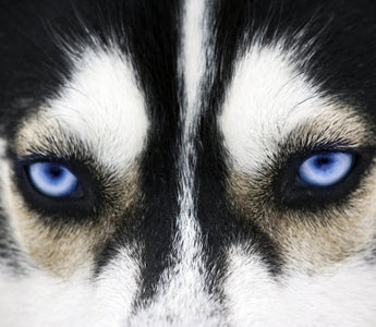 8 Tips To Be A Tasteful Photography