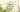 Garden Wall Art: Transform your vertical space