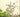Garden Wall Art: Transform your vertical space
