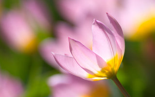 Book Now For April 30th Gardening Courses