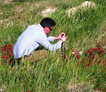 A Working Holiday to Jerusalem