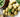 Potato Recipe Competition – Dig Deep for Recipies