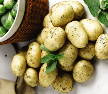 Potato Recipe Competition – Dig Deep for Recipies