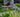 Chelsea Flower Show 2014 Medal Winners