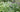 How to plant your garden like an award winning garden designer
