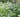 How to plant your garden like an award winning garden designer