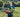NEW COURSE LAUNCH: Online River Cottage Cooking Diploma with Hugh Fearnley-Whittingstall
